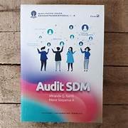 Audit SDM
