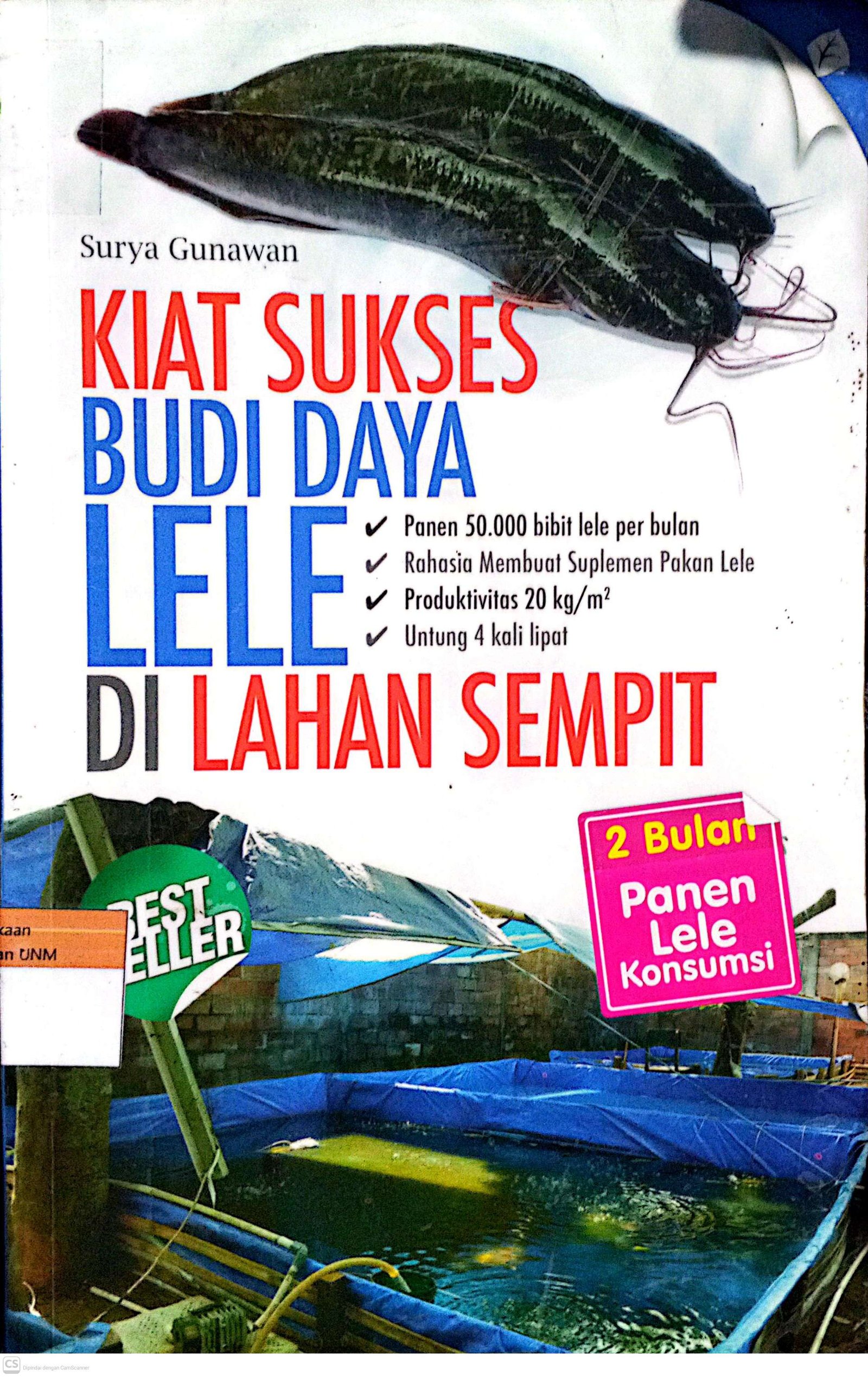 Kiat Sukses Budi Daya Lele di Lahan Sempit